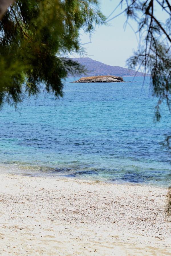 Beach House Set In A Beautiful Bay Karystos  Zewnętrze zdjęcie